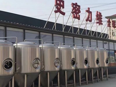 罗定精酿啤酒设备厂—市场规模与跨界新需求